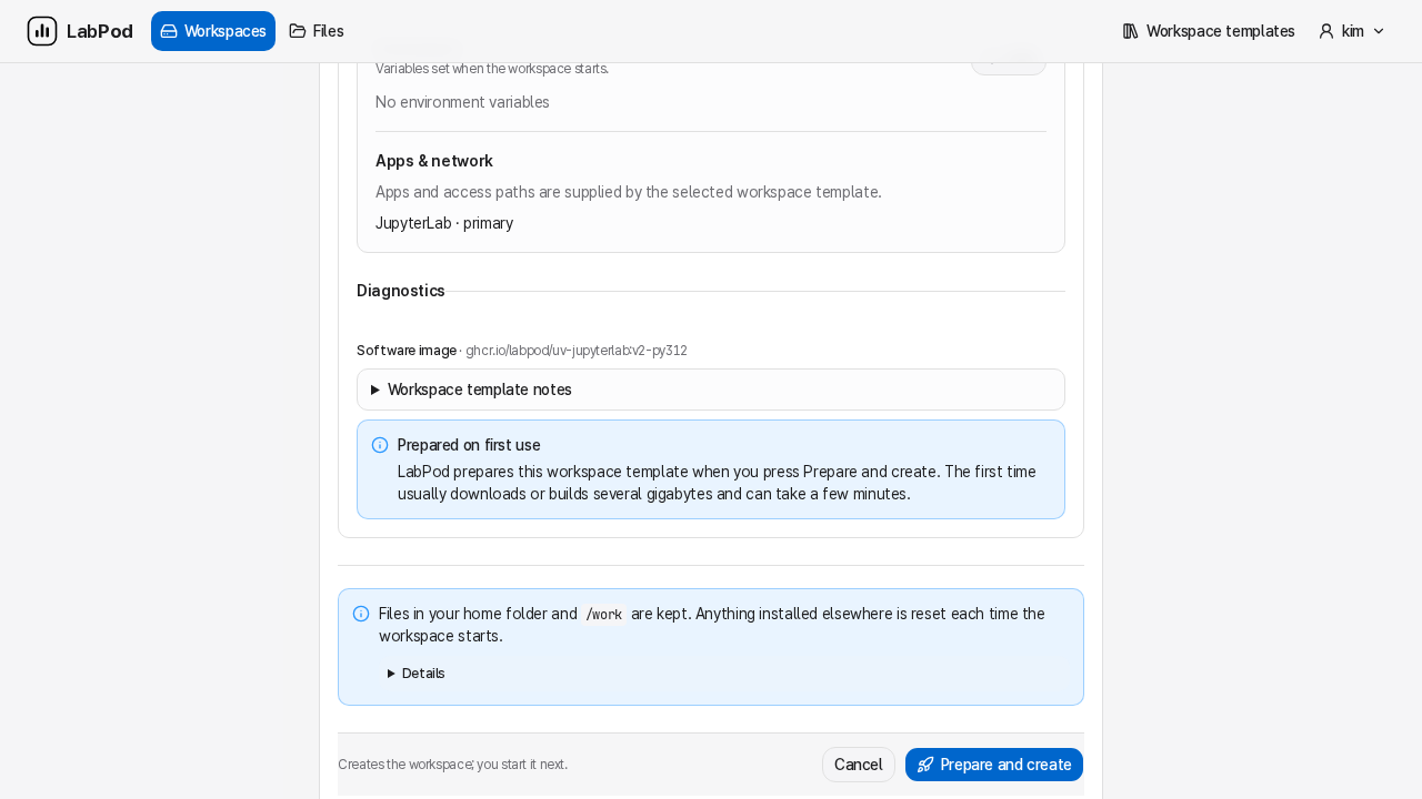 Workspace composer with the Customize disclosure open, showing its Diagnostics section